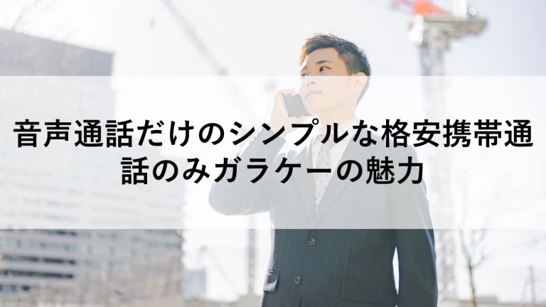 音声通話だけのシンプルな格安携帯、通話のみガラケーの魅力